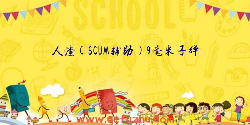 人渣(SCUM辅助)9毫米子弹