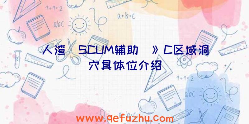 人渣(SCUM辅助)》C区域洞穴具体位介绍