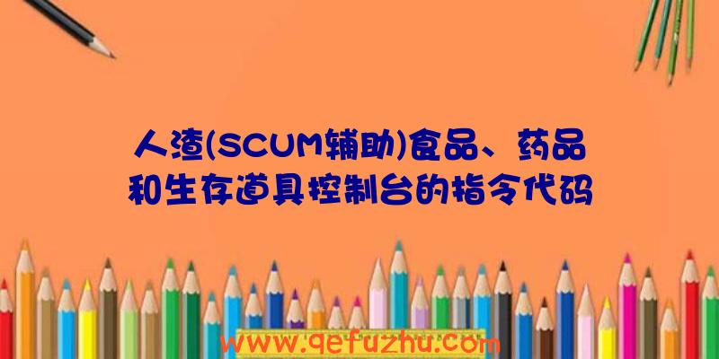 人渣(SCUM辅助)食品、药品和生存道具控制台的指令代码