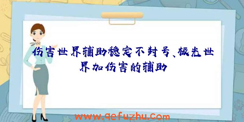 伤害世界辅助稳定不封号、极光世界加伤害的辅助