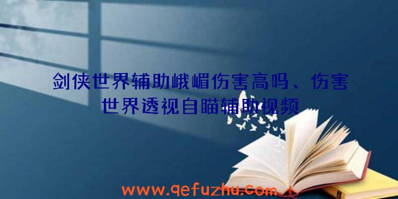 剑侠世界辅助峨嵋伤害高吗、伤害世界透视自瞄辅助视频