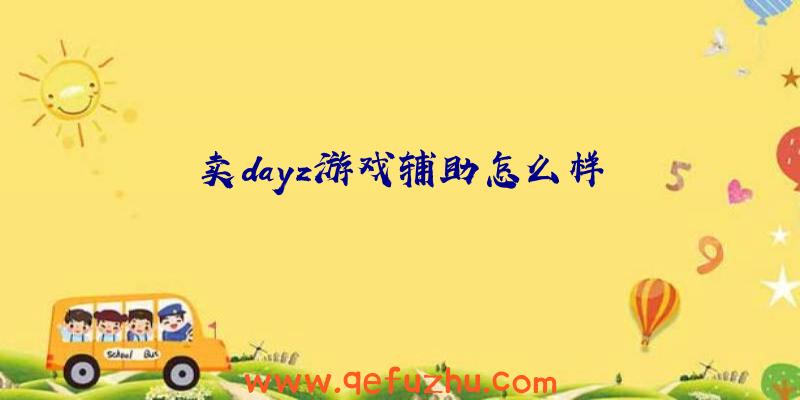 卖dayz游戏辅助怎么样