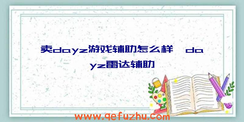 卖dayz游戏辅助怎么样、dayz雷达辅助