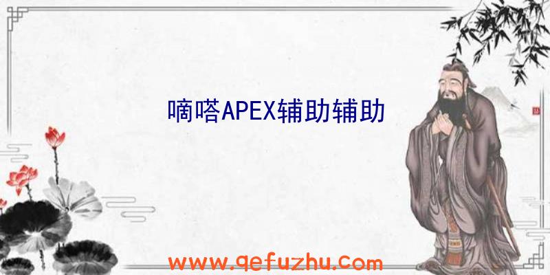 嘀嗒APEX辅助辅助