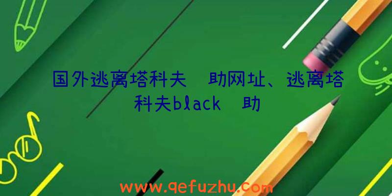 国外逃离塔科夫辅助网址、逃离塔科夫black辅助