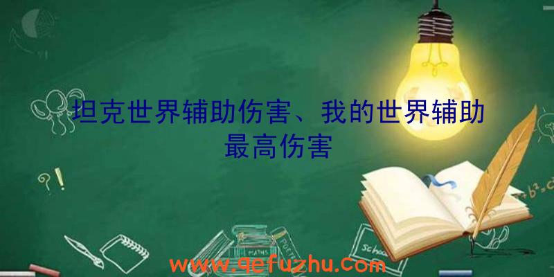 坦克世界辅助伤害、我的世界辅助最高伤害