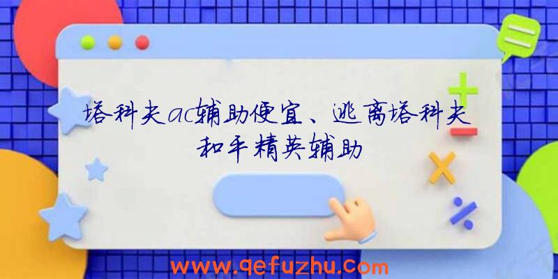 塔科夫ac辅助便宜、逃离塔科夫和平精英辅助