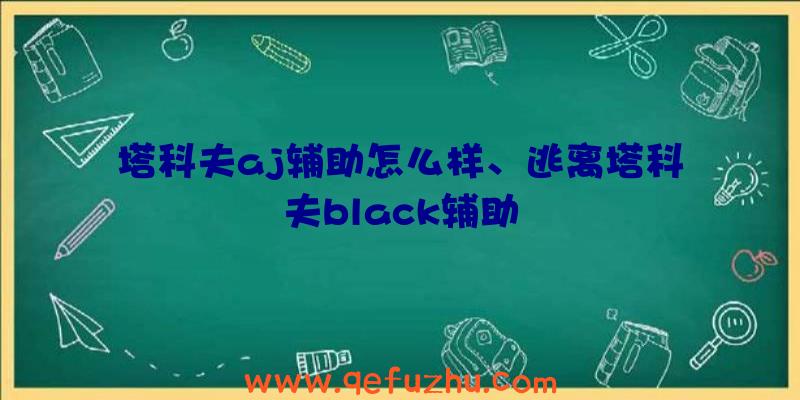 塔科夫aj辅助怎么样、逃离塔科夫black辅助