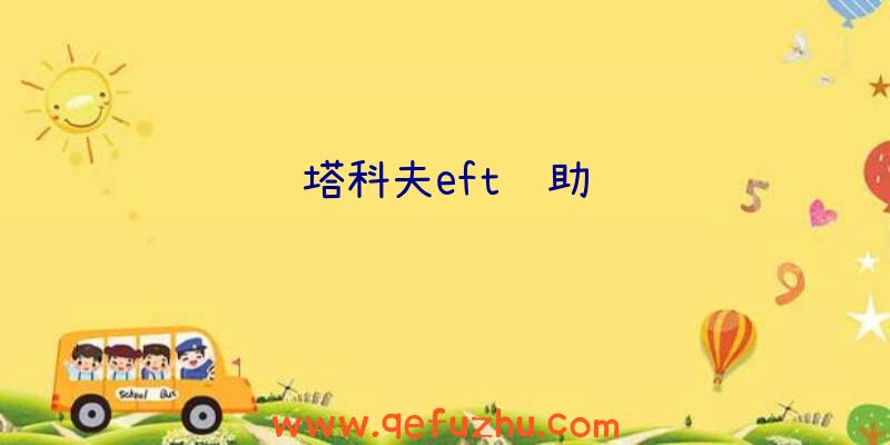 塔科夫eft辅助