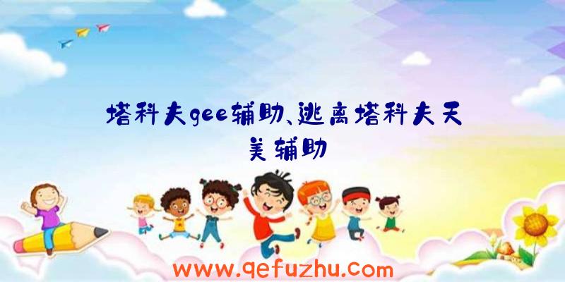 塔科夫gee辅助、逃离塔科夫天美辅助