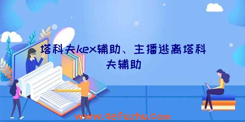 塔科夫kex辅助、主播逃离塔科夫辅助