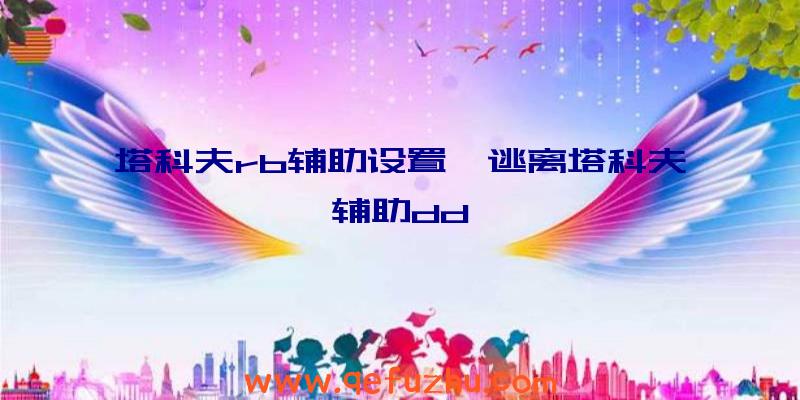 塔科夫rb辅助设置、逃离塔科夫辅助dd