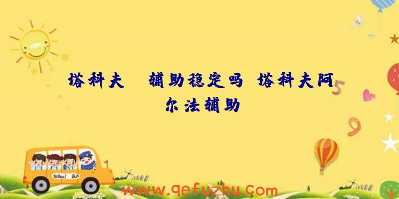 塔科夫ru辅助稳定吗、塔科夫阿尔法辅助