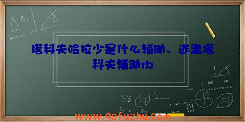 塔科夫哈拉少是什么辅助、逃离塔科夫辅助rb