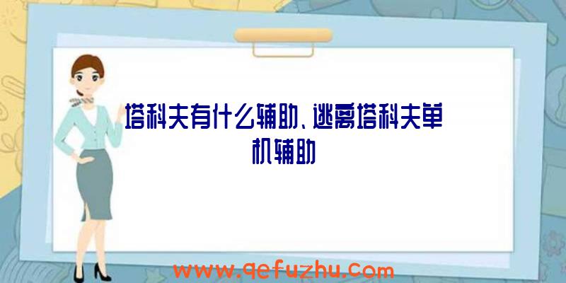 塔科夫有什么辅助、逃离塔科夫单机辅助