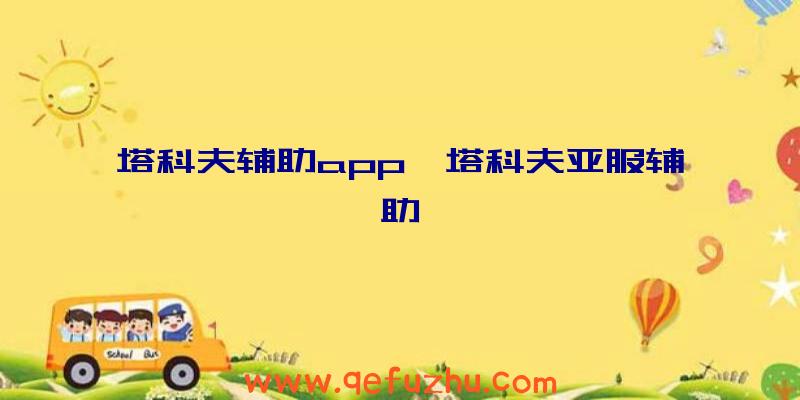 塔科夫辅助app、塔科夫亚服辅助