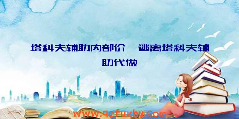 塔科夫辅助内部价、逃离塔科夫辅助代做