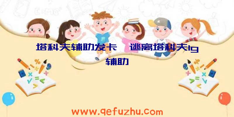 塔科夫辅助发卡、逃离塔科夫lg辅助