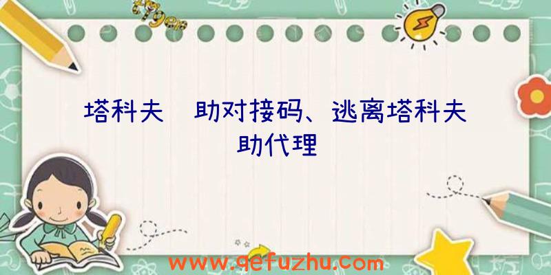 塔科夫辅助对接码、逃离塔科夫辅助代理