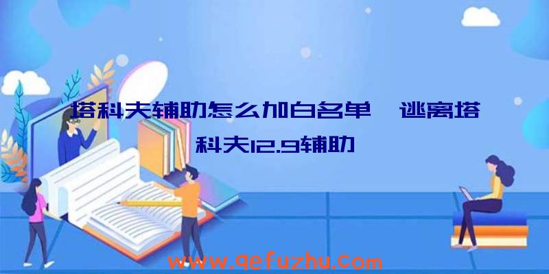 塔科夫辅助怎么加白名单、逃离塔科夫12.9辅助