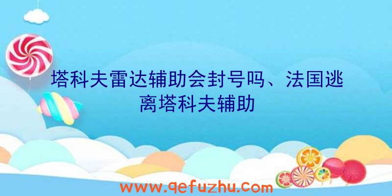 塔科夫雷达辅助会封号吗、法国逃离塔科夫辅助