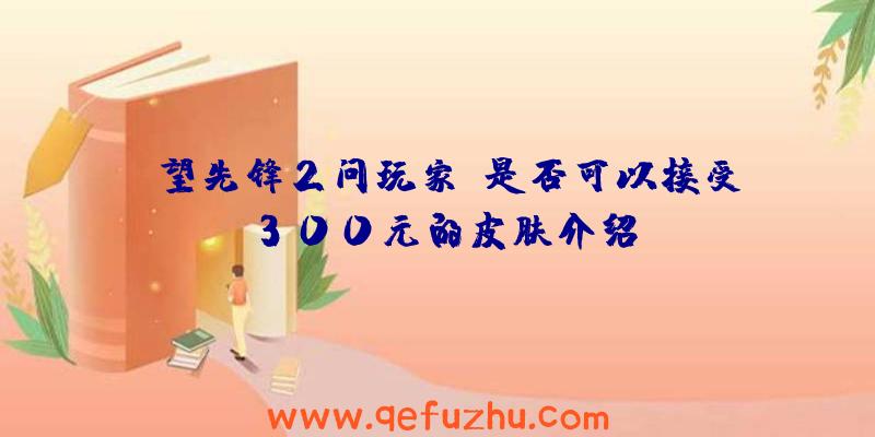 守望先锋2问玩家:是否可以接受300元的皮肤介绍