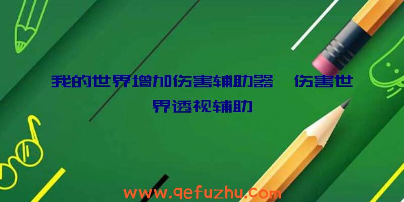 我的世界增加伤害辅助器、伤害世界透视辅助