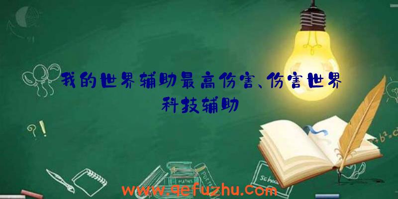 我的世界辅助最高伤害、伤害世界科技辅助