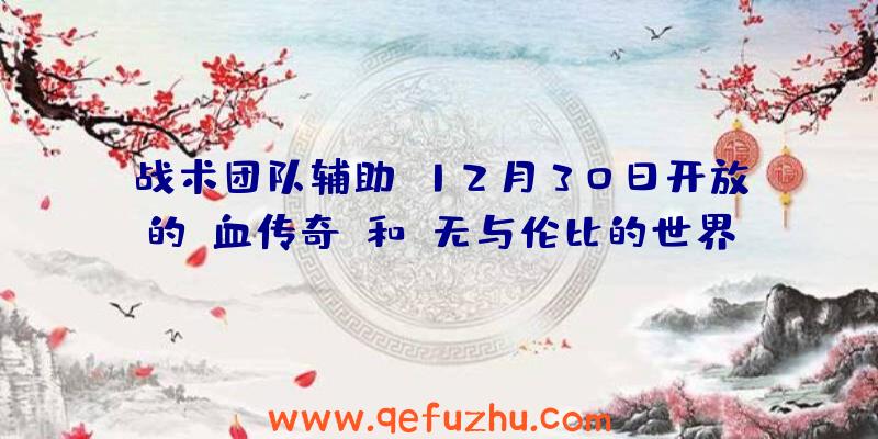 战术团队辅助:12月30日开放的“血传奇”和“无与伦比的世界