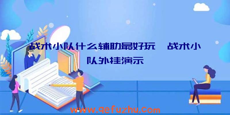 战术小队什么辅助最好玩、战术小队外挂演示