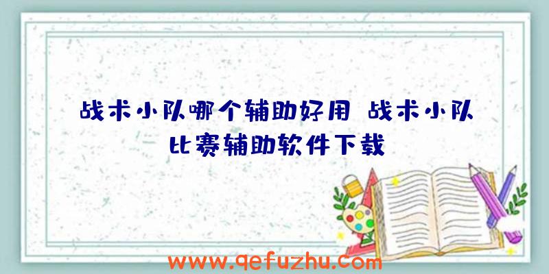 战术小队哪个辅助好用、战术小队比赛辅助软件下载