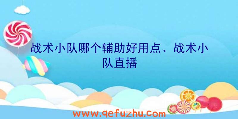 战术小队哪个辅助好用点、战术小队直播