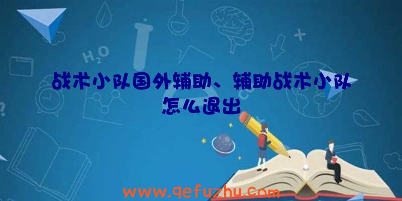 战术小队国外辅助、辅助战术小队怎么退出