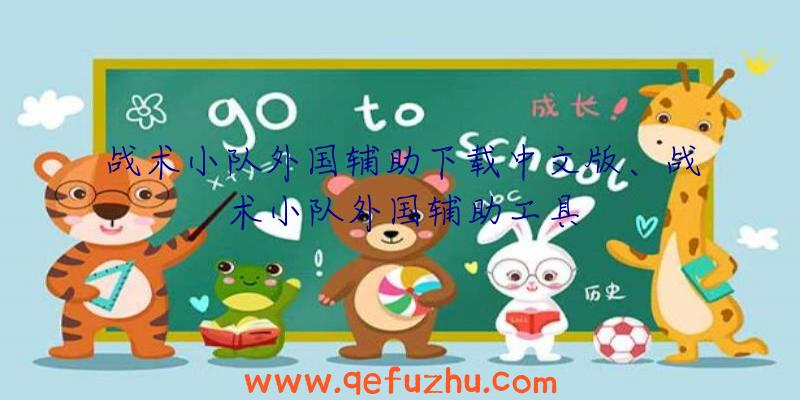 战术小队外国辅助下载中文版、战术小队外国辅助工具