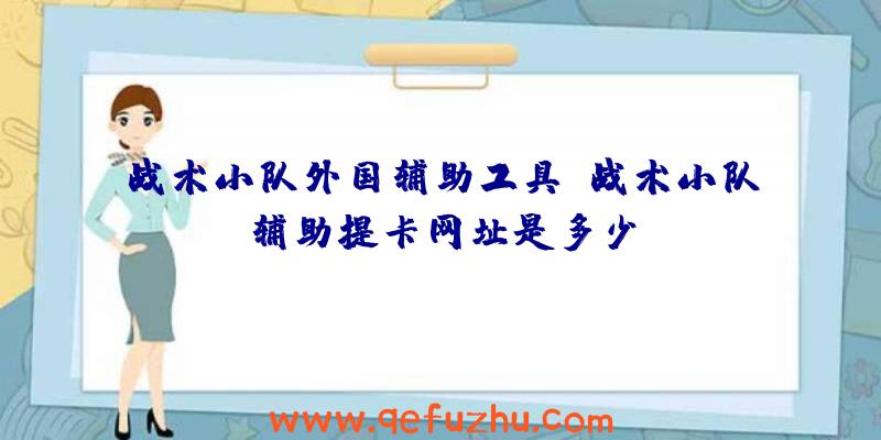 战术小队外国辅助工具、战术小队辅助提卡网址是多少