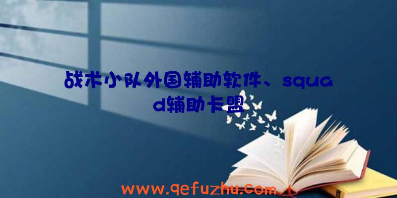 战术小队外国辅助软件、squad辅助卡盟