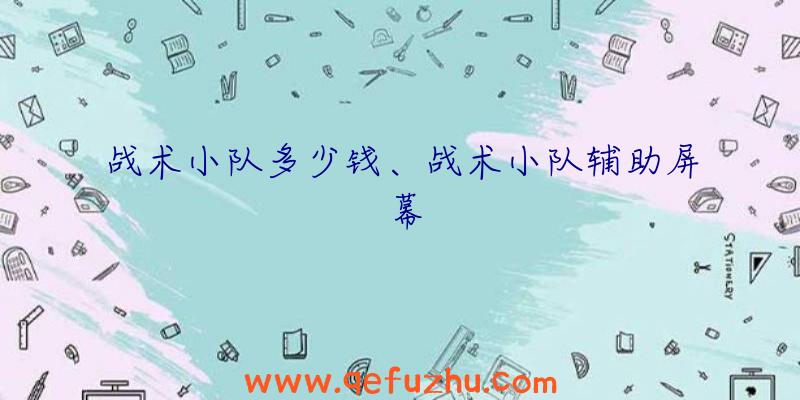 战术小队多少钱、战术小队辅助屏幕