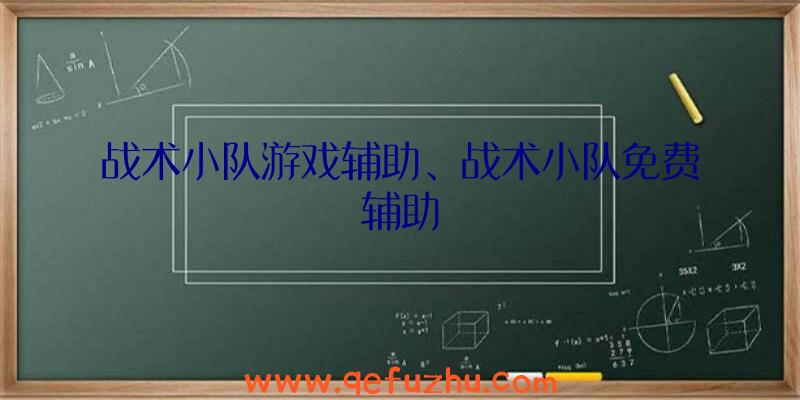 战术小队游戏辅助、战术小队免费辅助