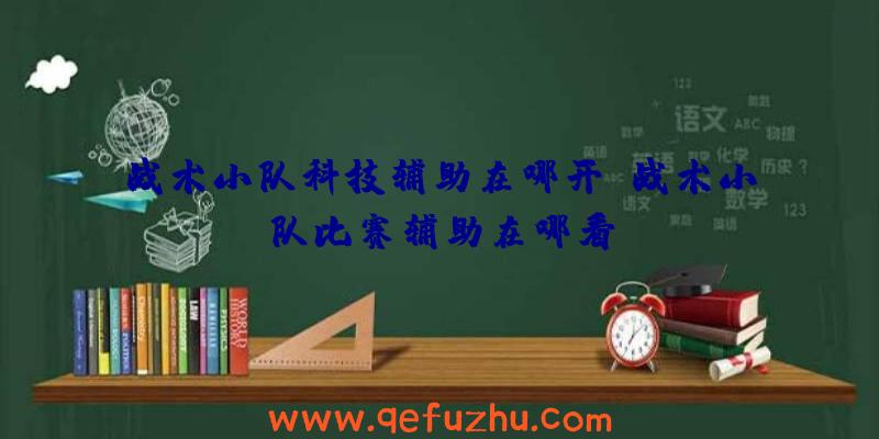 战术小队科技辅助在哪开、战术小队比赛辅助在哪看