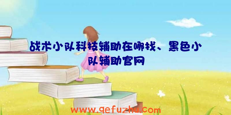 战术小队科技辅助在哪找、黑色小队辅助官网