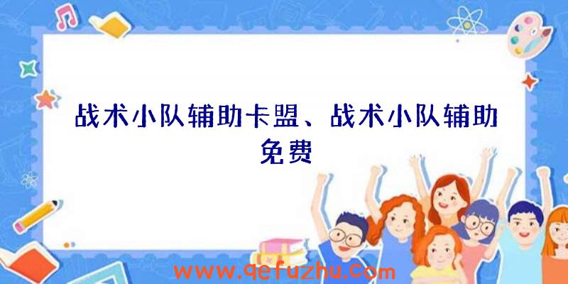 战术小队辅助卡盟、战术小队辅助免费