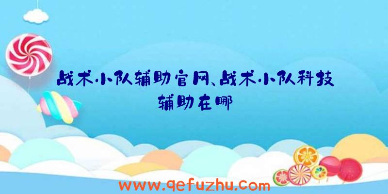 战术小队辅助官网、战术小队科技辅助在哪