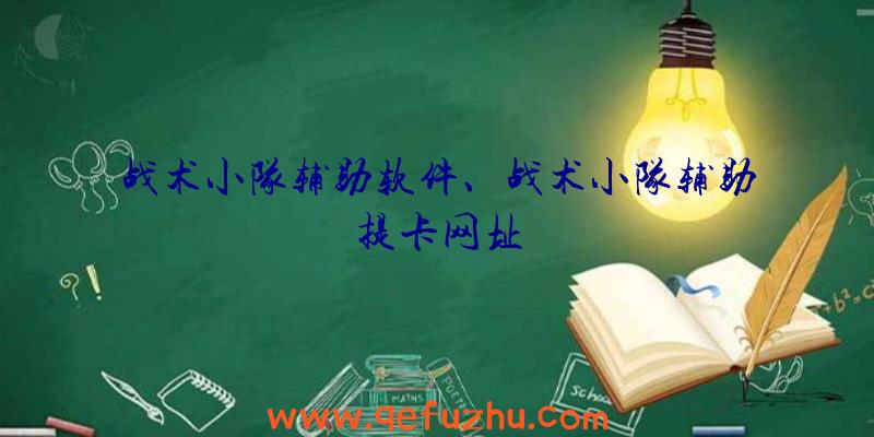 战术小队辅助软件、战术小队辅助提卡网址