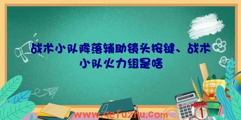 战术小队降落辅助镜头按键、战术小队火力组是啥