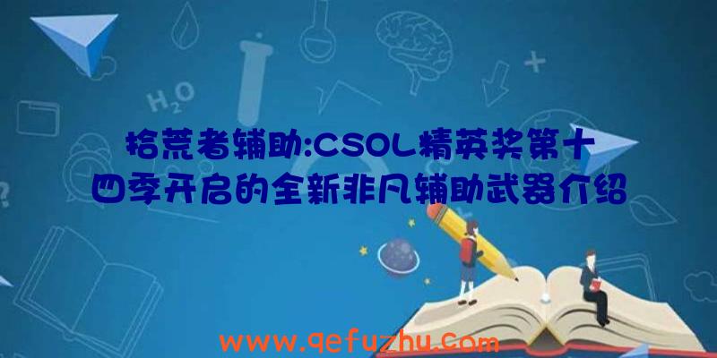 拾荒者辅助:CSOL精英奖第十四季开启的全新非凡辅助武器介绍