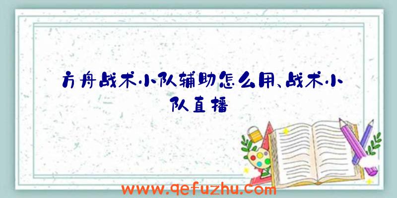 方舟战术小队辅助怎么用、战术小队直播