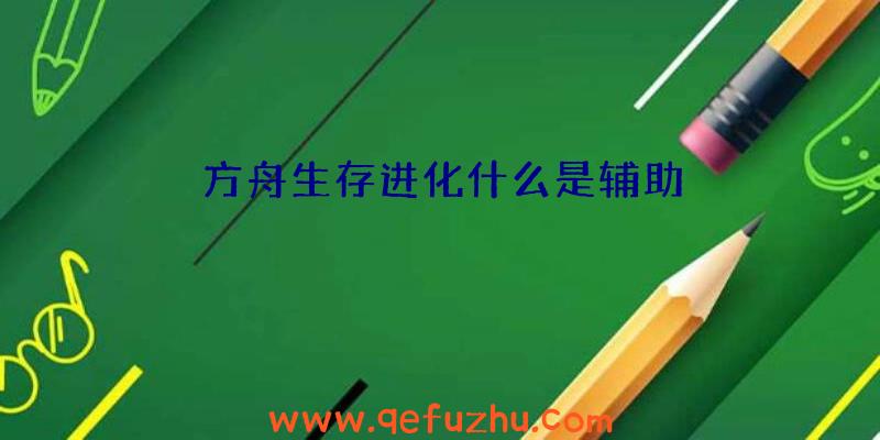 方舟生存进化什么是辅助