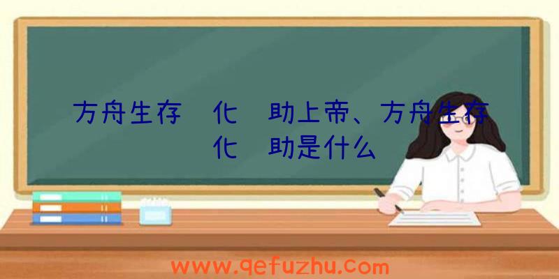 方舟生存进化辅助上帝、方舟生存进化辅助是什么