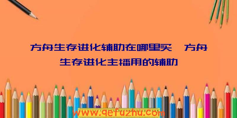 方舟生存进化辅助在哪里买、方舟生存进化主播用的辅助