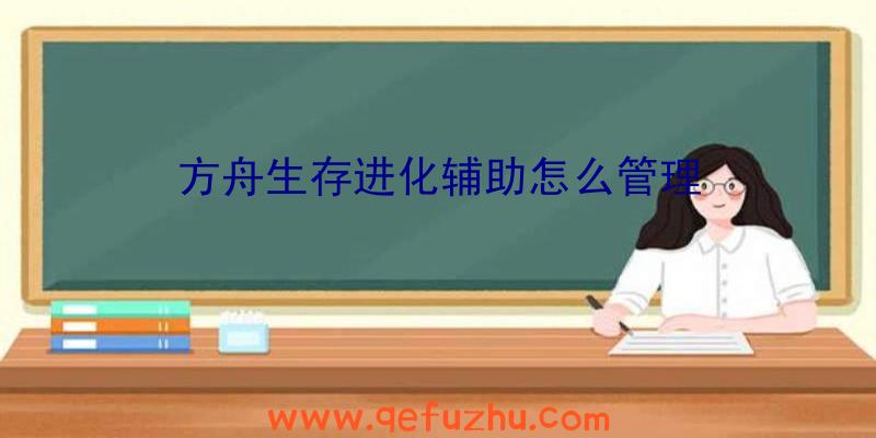 方舟生存进化辅助怎么管理